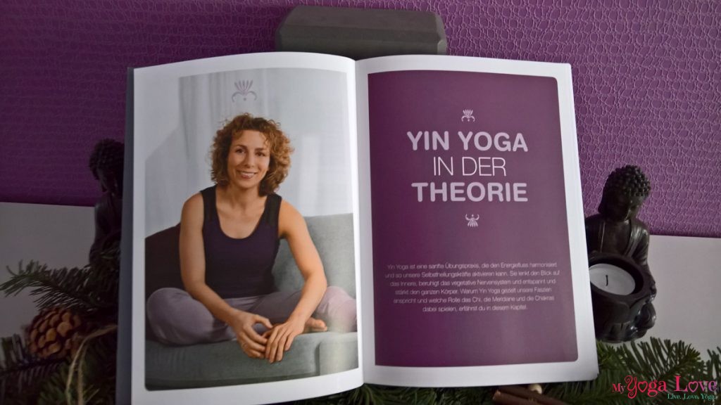 Gesund durch Yin Yoga Buch Stefanie Arend: Theorie
