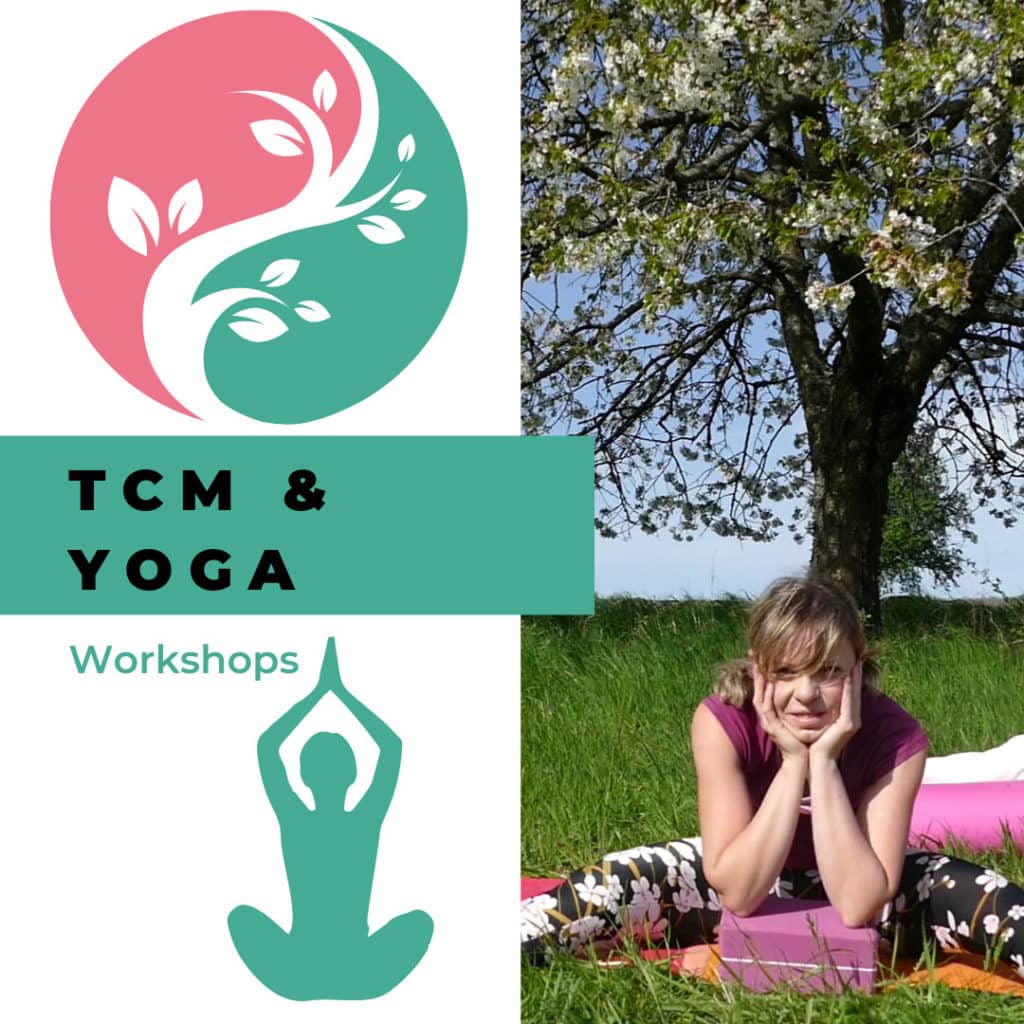 TCM & Yoga Workshopreihe