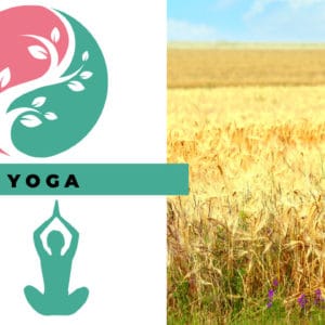 TCM & Yoga – Erd Element