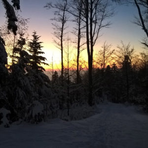 Wintersonnenwende