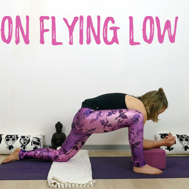 Yin Yoga Positionen erklärt Der Drache (Dragon Pose) und Varianten