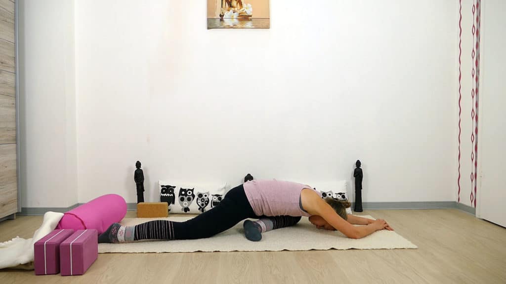Yin Yoga Element Erde - Magen und Milz - Sleeping Swan